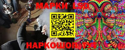 apvp Славгород