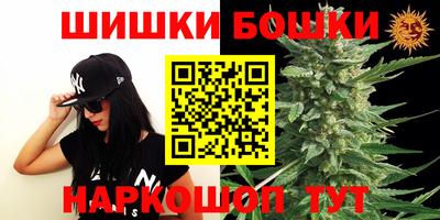 не бодяженный Гай