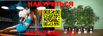 не бодяженный Гай