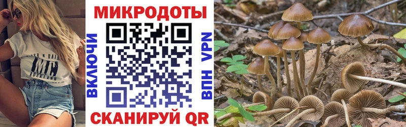 Галлюциногенные грибы мицелий  дарнет шоп  Чебоксары 