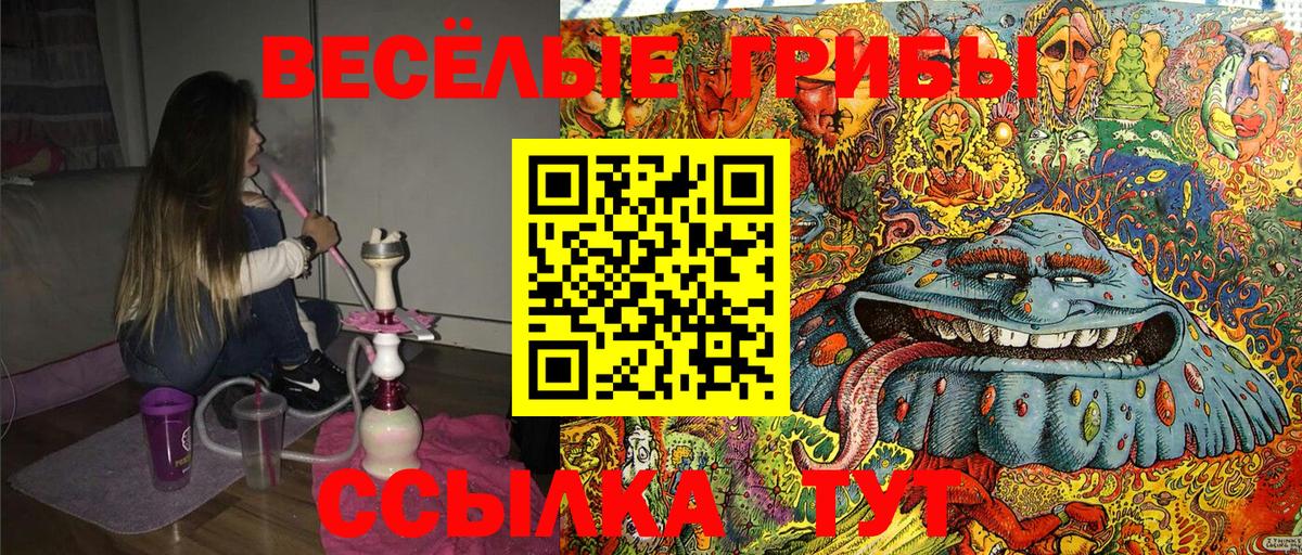 Галлюциногенные грибы мицелий  Чебоксары 