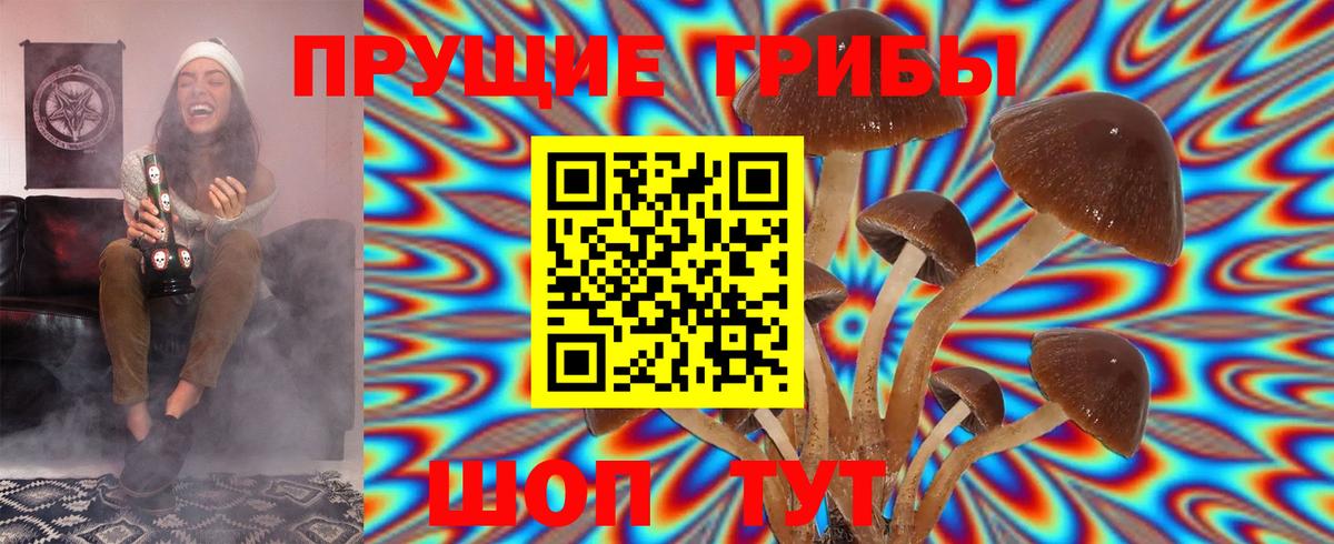 Псилоцибиновые грибы прущие грибы Чебоксары