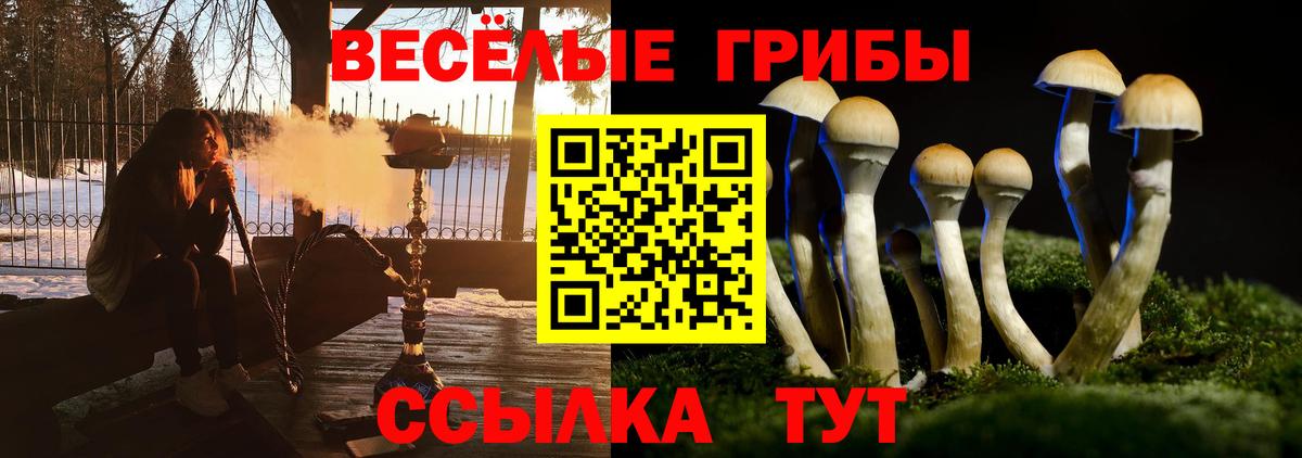 Галлюциногенные грибы мухоморы  Галлюциногенные грибы GOLDEN TEACHER  Чебоксары  Вход с VPN 