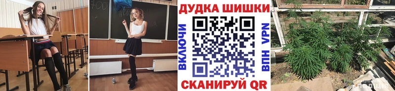 kraken ТОР  Чебоксары  Канабис планчик 
